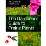 Gardening in the Midwest: A Comprehensive Guide-0