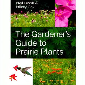 Gardening in the Midwest: A Comprehensive Guide-0