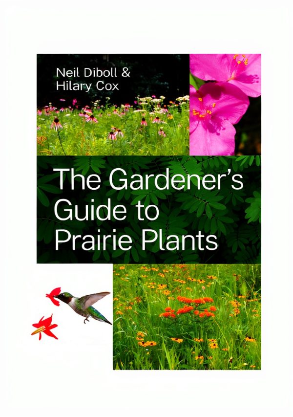 Gardening in the Midwest: A Comprehensive Guide-0