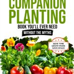 Desert Gardening Guide for Beginners – More 4 All Kindle eBook-0