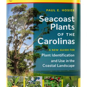 Southern Gateways Guides: A Traveler's Companion to the South-0