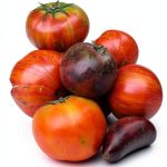 Growing Spices: A Gardening & Horticulture eBook for 12-18 Year Olds-0