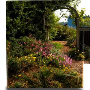 California Gardening Guide by University of California Press Kindle-0